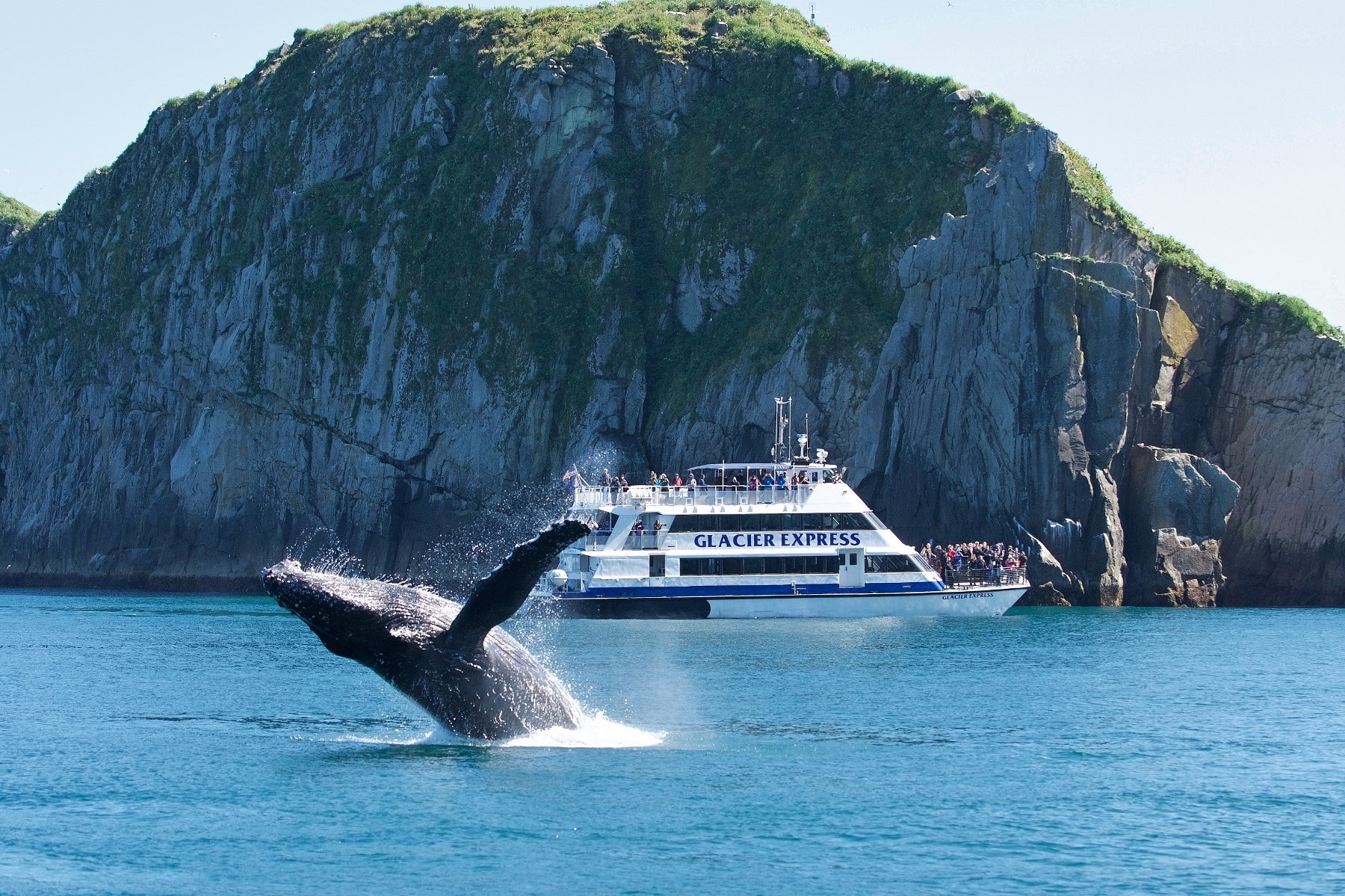 Glacier and Wildlife Tours – Great Alaskan Holidays