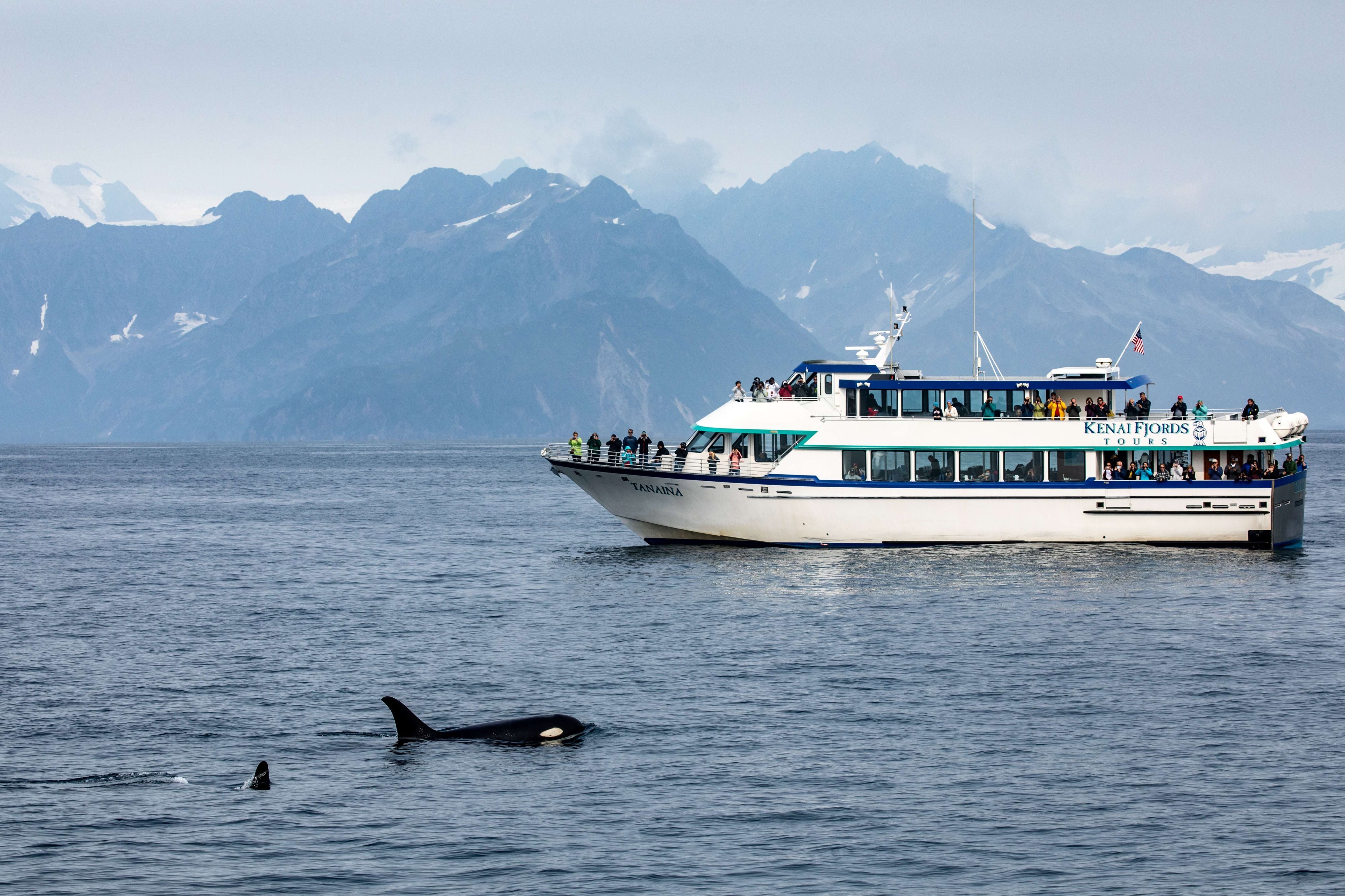 Glacier and Wildlife Tours – Great Alaskan Holidays