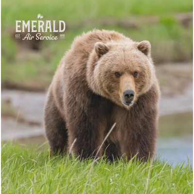 Emerald Air Service Main Image Emerald Air Service Main Image