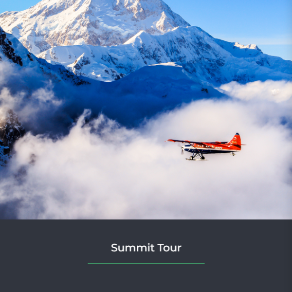 Great Alaskan Holidays and Talkeetna Air Taxi