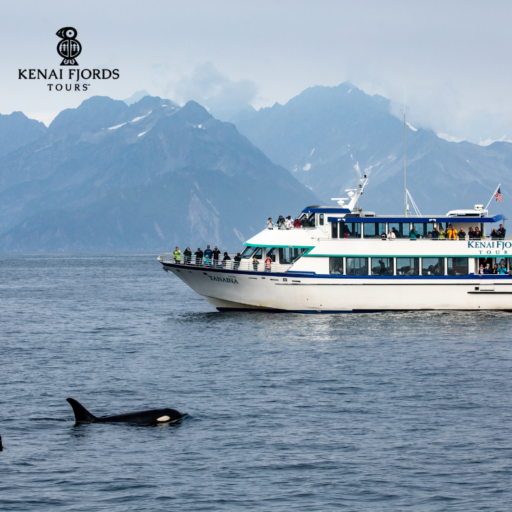 Kenai Fjords Tours Main Image Kenai Fjords Tours Main Image